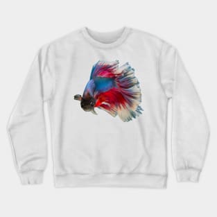 Siamese Fighting fish lovely design for people who keep tropical fish Crewneck Sweatshirt